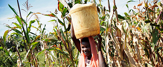 Kansainvalinen vesialan strategia, afrikkalainen nainen pellolla